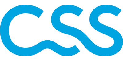 CSS logo